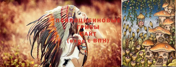 PSILOCYBIN Нефтекумск