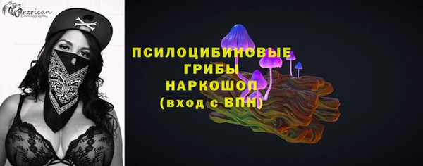 PSILOCYBIN Нефтекумск