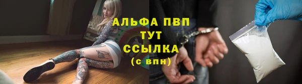 PSILOCYBIN Нефтекумск